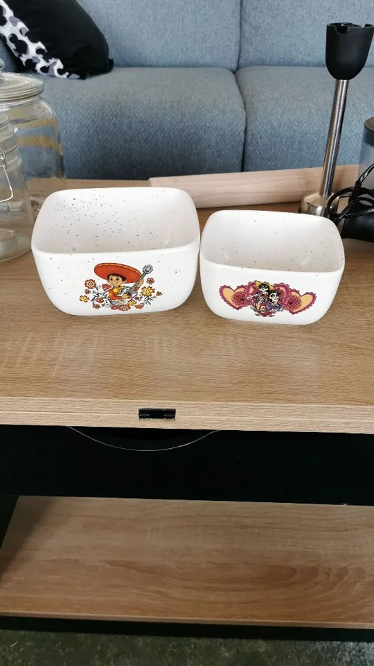 Lot de 2 bols décorés
