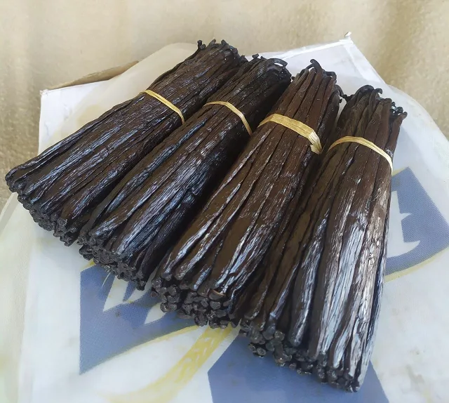 Vanille de Madagascar – Qualité Premium